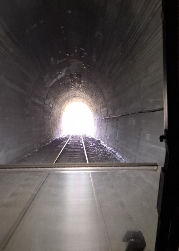 Forgotten World Adventures-Taumarunui必去景点