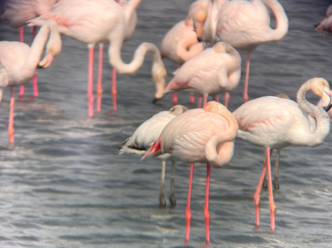 PerNatur - Nature Trails-奥良必去景点