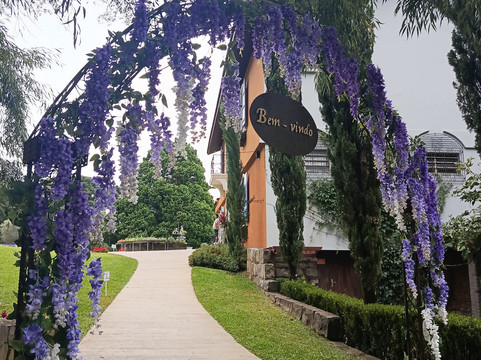 Le Jardin Parque de Lavanda-格拉玛多必去景点