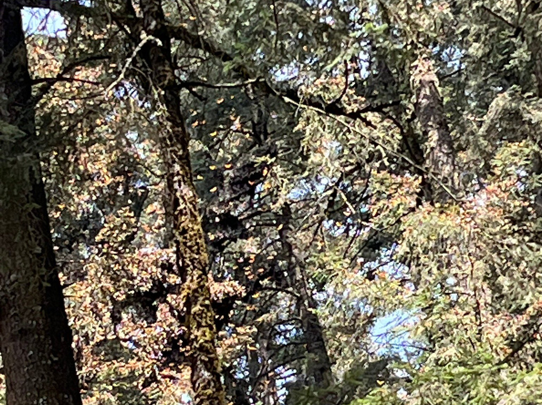 Tekpan Tours-墨西哥城必去景点