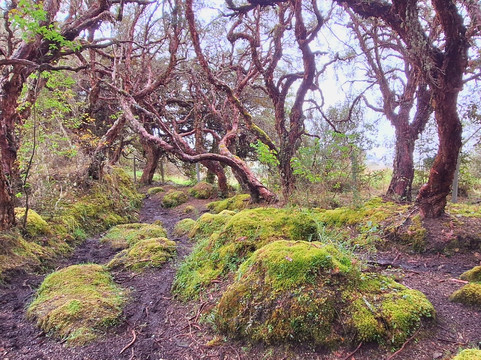Montanas Colombianas-佩雷拉必去景点