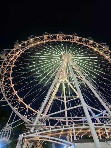 马塞约雷迪森贝斯特韦斯特精品酒店-官方