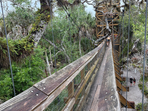 Myakka Canopy Walkway-萨拉索塔必去景点