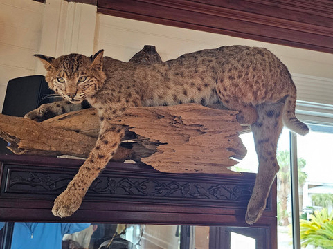 吉布森酒店主图