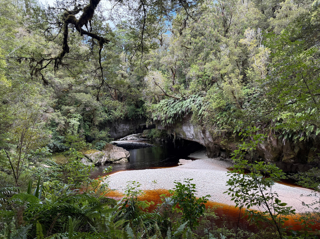 Oparara Kahurangi National Park Guided Tours-Karamea必去景点