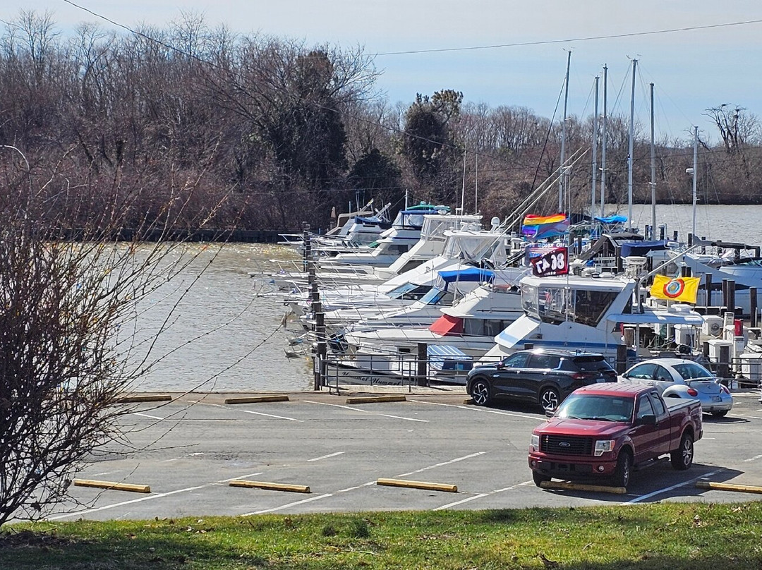 Havre de Grace Basin Marina-Havre de Grace必去景点