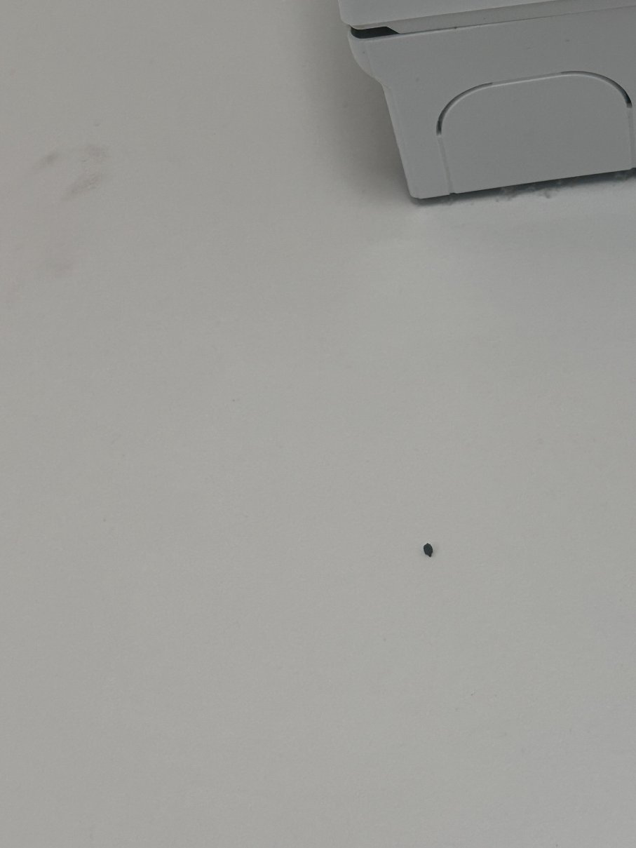 博福特旅馆-客卧