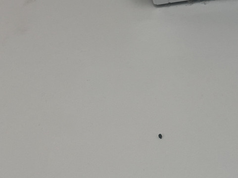 博福特旅馆主图