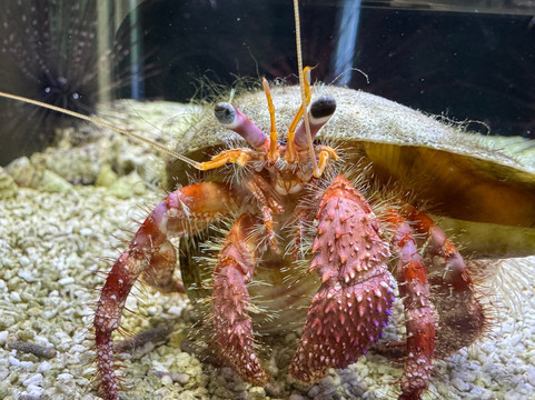 Boca Aquarium-博卡拉顿必去景点