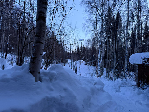 Leaf Out Nature Guides-费尔班克斯必去景点