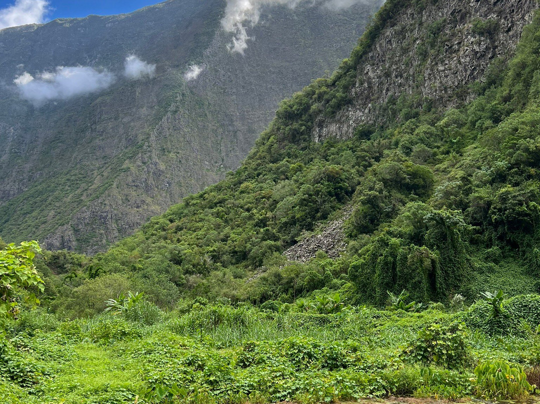 Crazy Adventures Réunion-Mont-Vert les Hauts必去景点