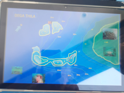 Diving Bluetribe Moofushi-南阿里环礁必去景点