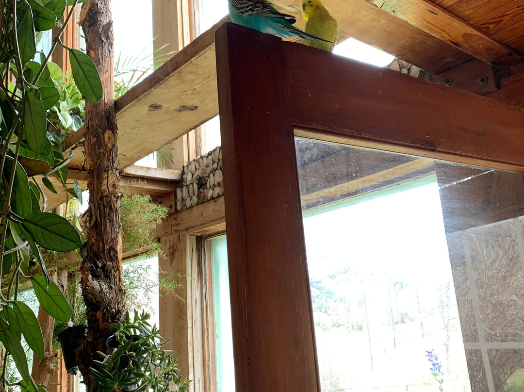 Quigley's Castle-尤里卡斯普林斯必去景点