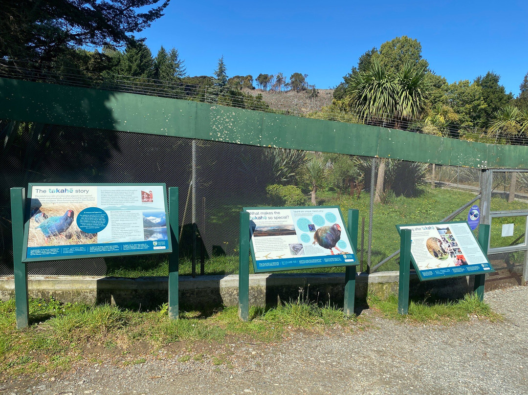 Te Anau Bird Sanctuary-蒂阿瑙必去景点