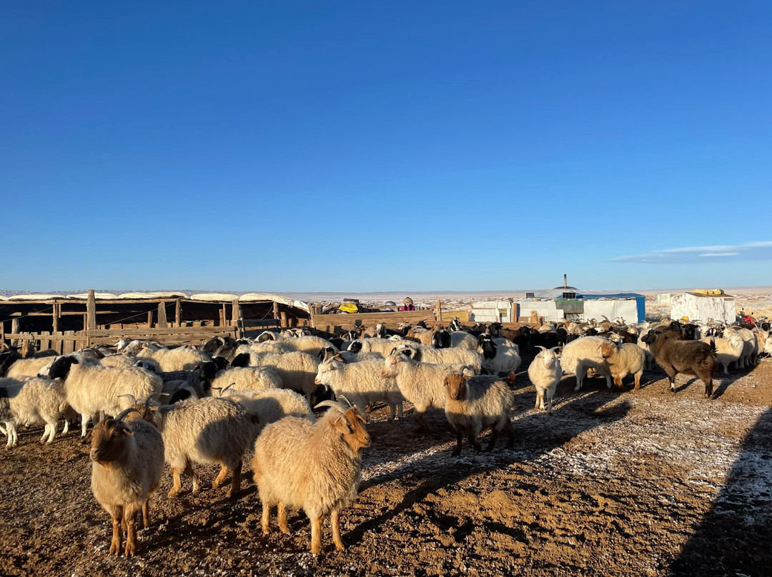 Guru Travel Mongolia-乌兰巴托必去景点