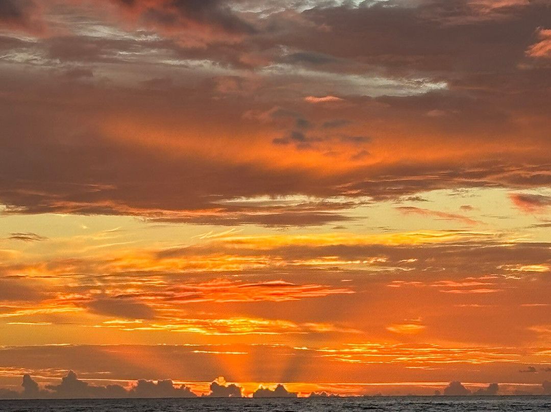 Lady La Fee-圣吉尔莱班必去景点
