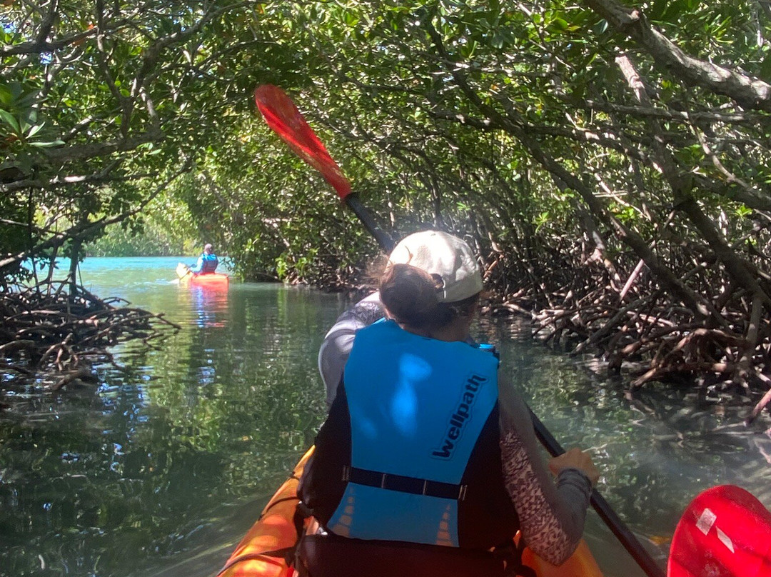 Sea Kayak Adventures-毛里求斯必去景点