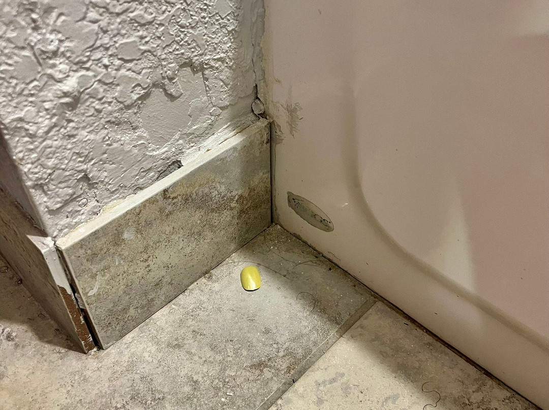 智选假日套房酒店纳奇兹南西主图