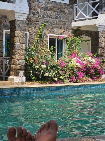 罗望子安朱纳果阿精品遗产酒店-官方