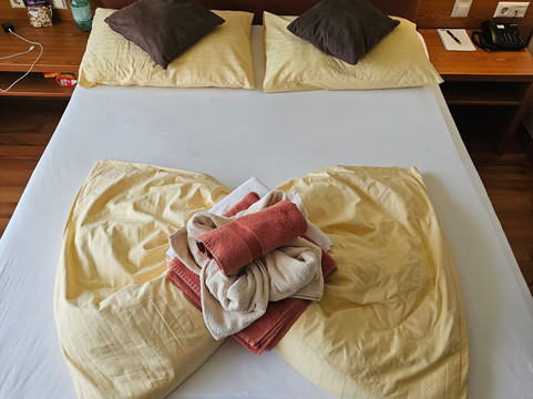 Thermalhotel Fontana主图