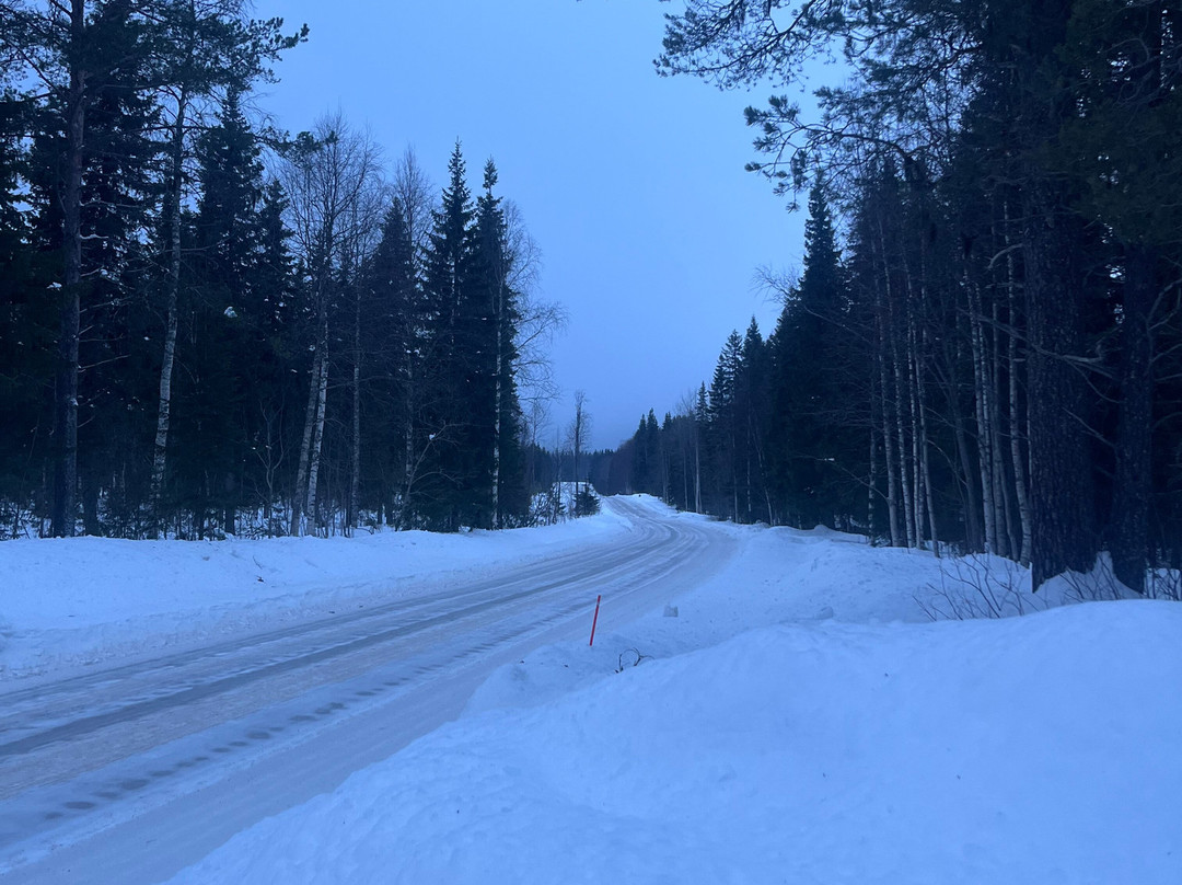 Arctos Lapland-罗瓦涅米必去景点