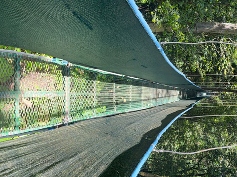 ILT Costa Rica-圣何塞必去景点