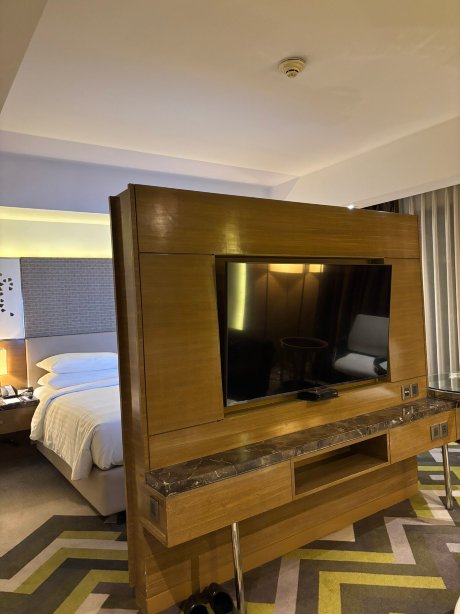 万怡酒店（阿格拉）万豪旗下-客卧