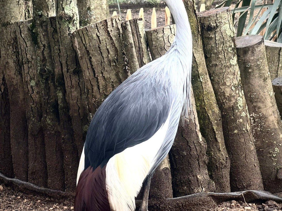 Le Refuge de l'Arche-Chateau-Gontier必去景点