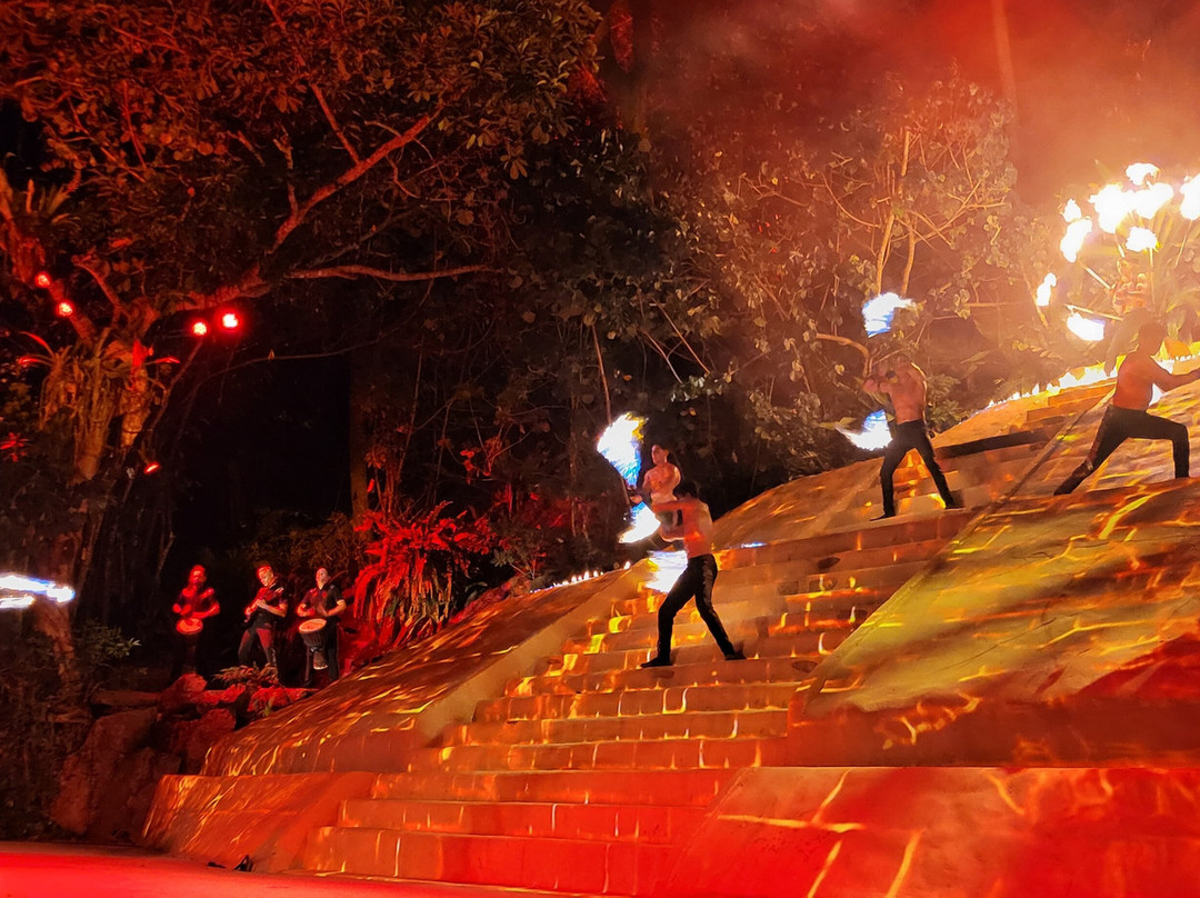 Rhythms of the Night by Vallarta Adventures-瓦拉塔港必去景点