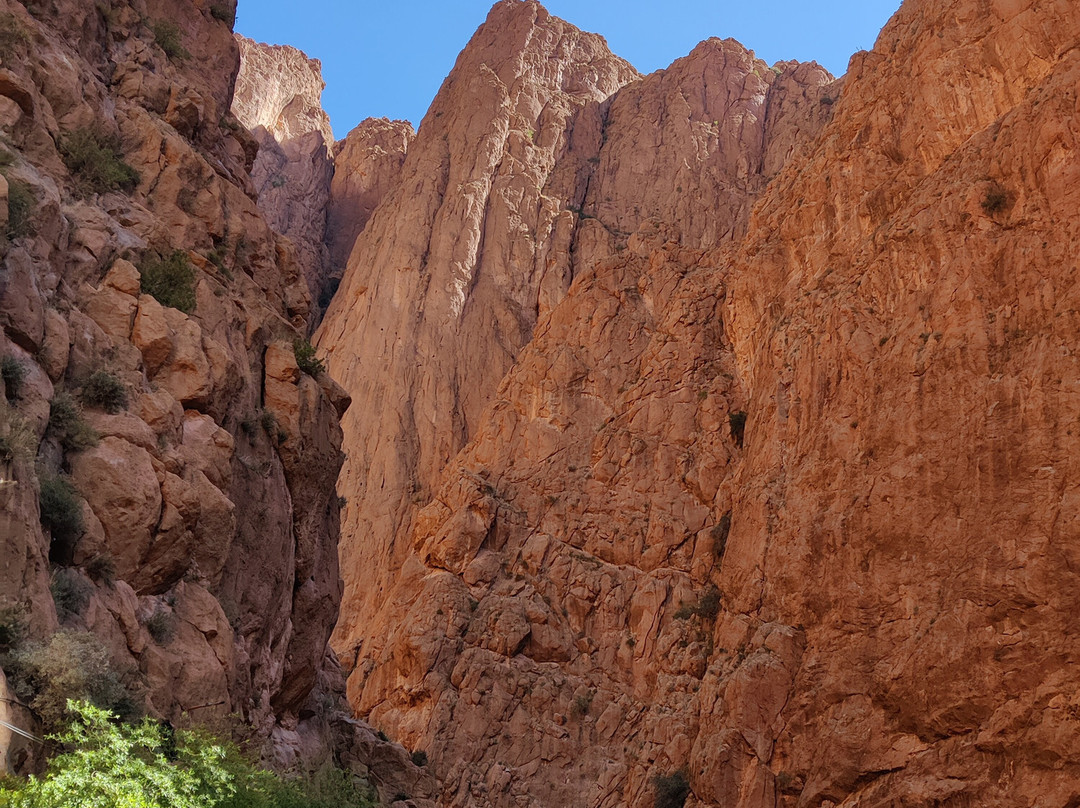 Sky Morocco Trips-非斯必去景点