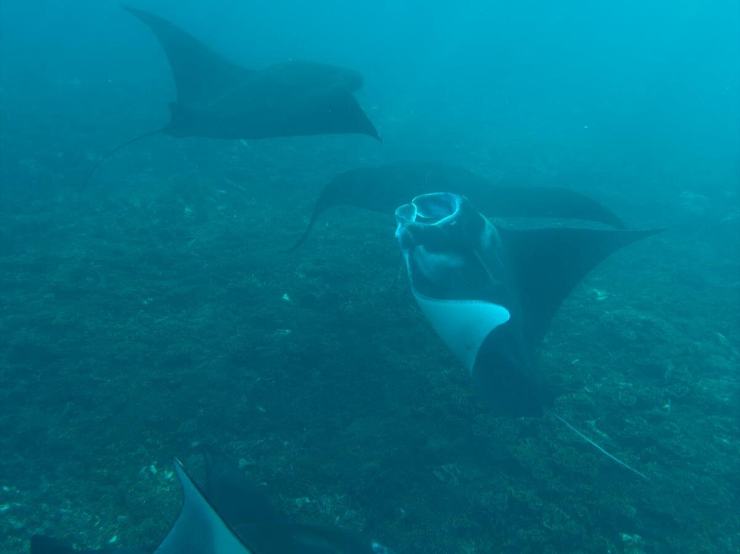 Captain Komodo-Labuan Bajo必去景点