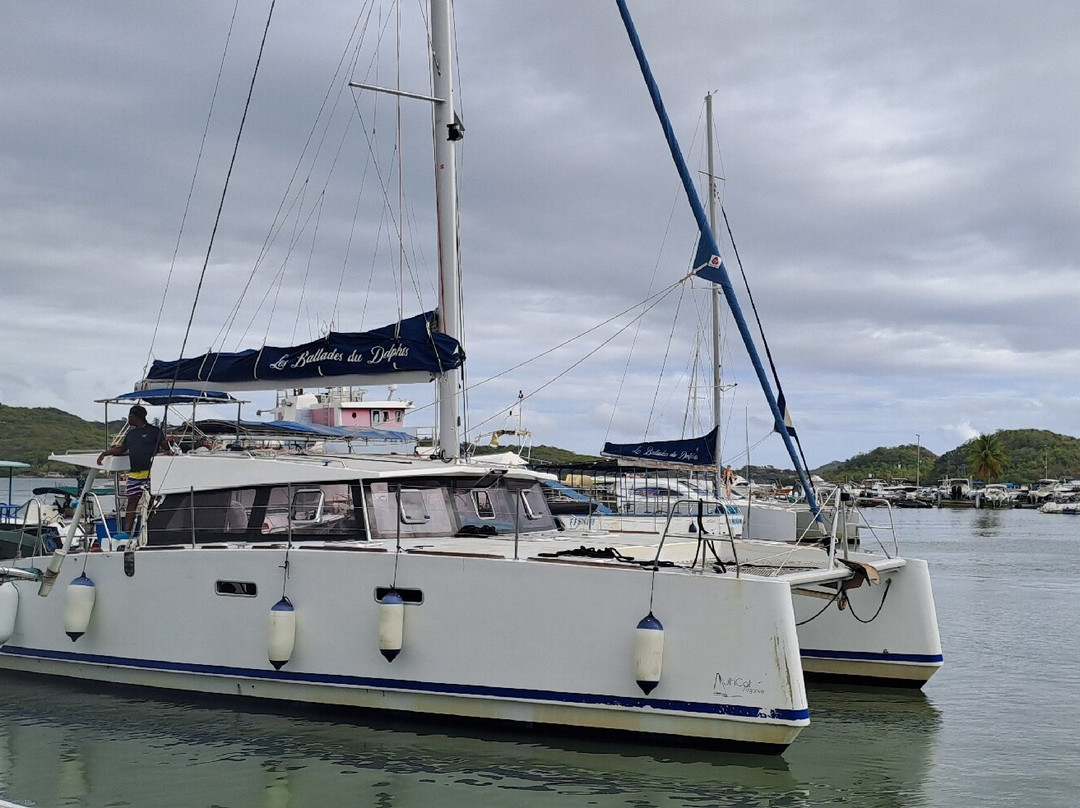 Les Ballades du Delphis-Le Francois必去景点