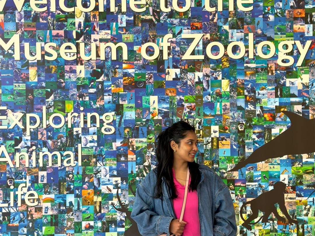 University Museum of Zoology-剑桥必去景点