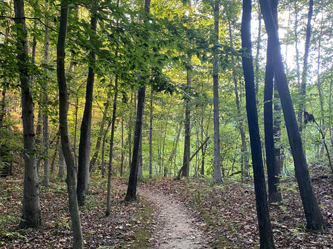 Blackhand Gorge State Nature Preserve-Newark必去景点