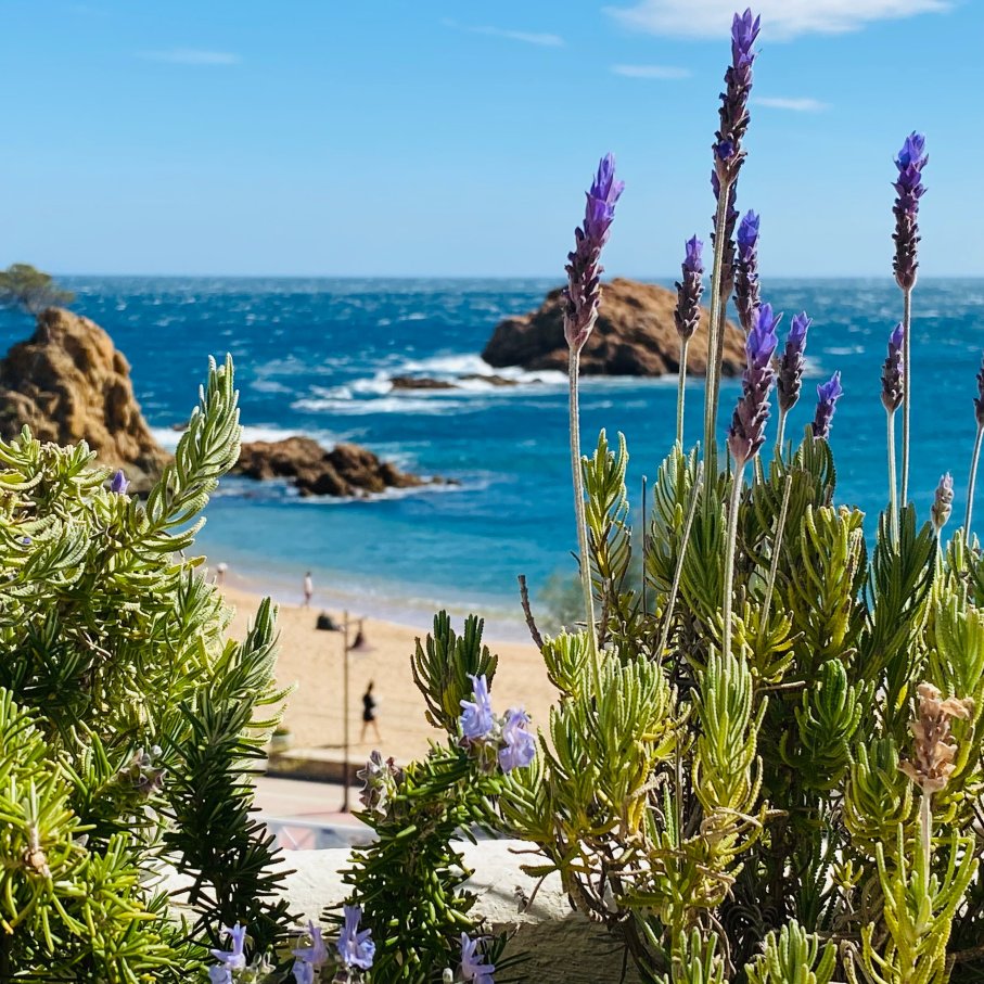 金色之海蒙努达酒店-官方