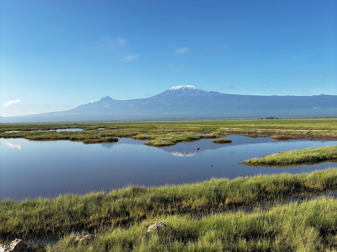 Pollman's Tours & Safaris-蒙巴萨必去景点