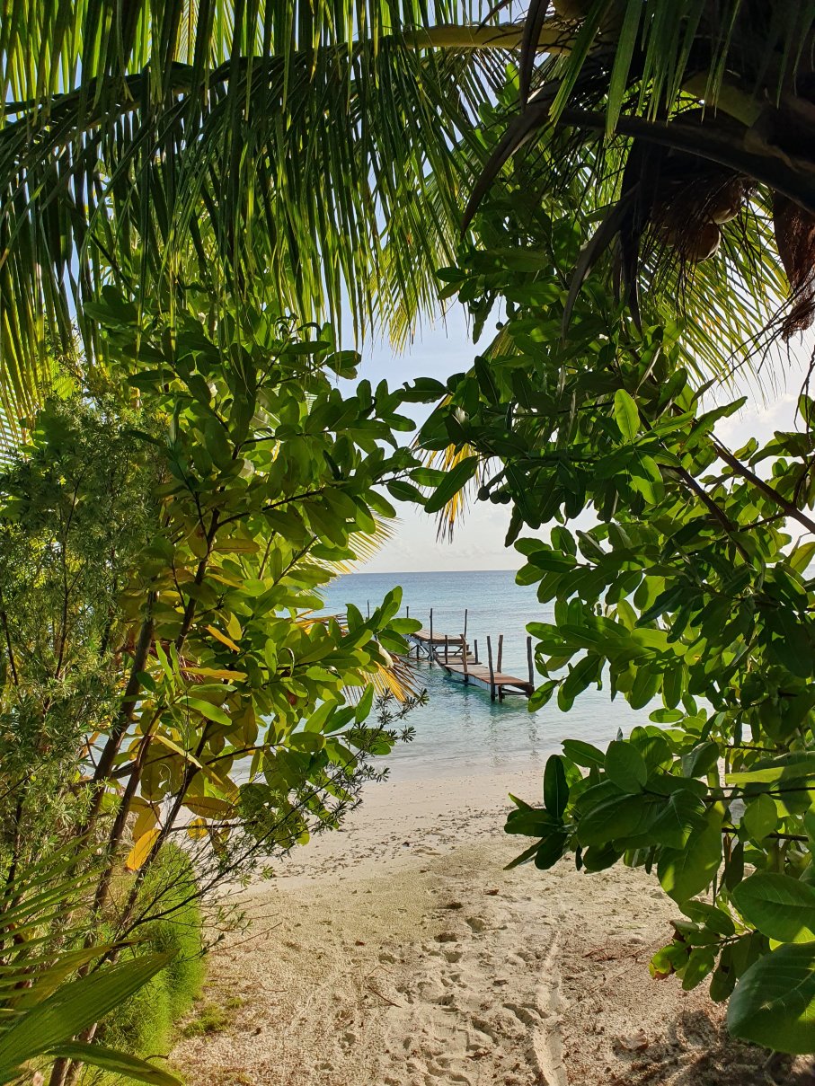 Pension Vaiama Village-泳池