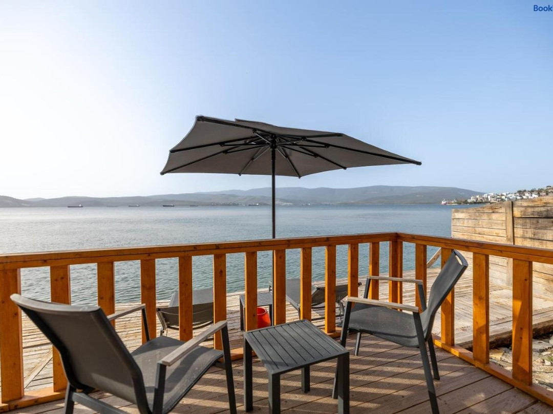 Roseira Bungalov