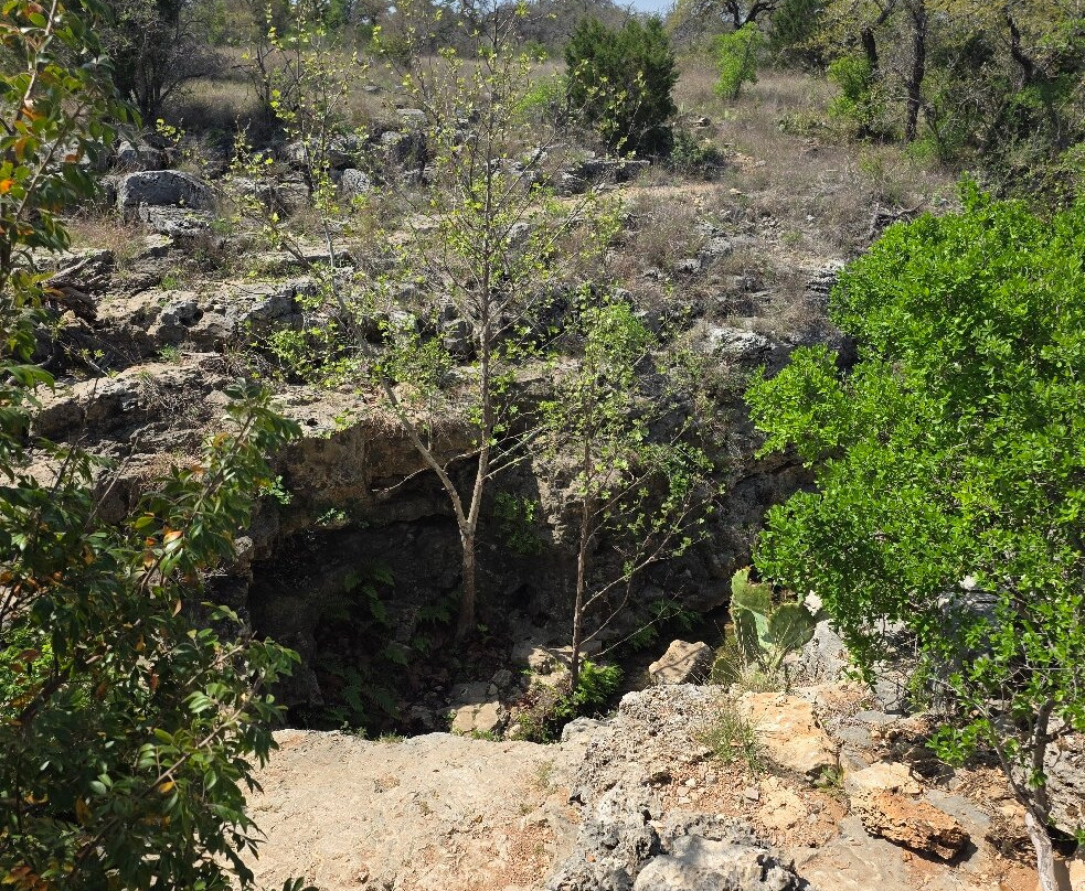 Reimers Ranch Park-Dripping Springs必去景点