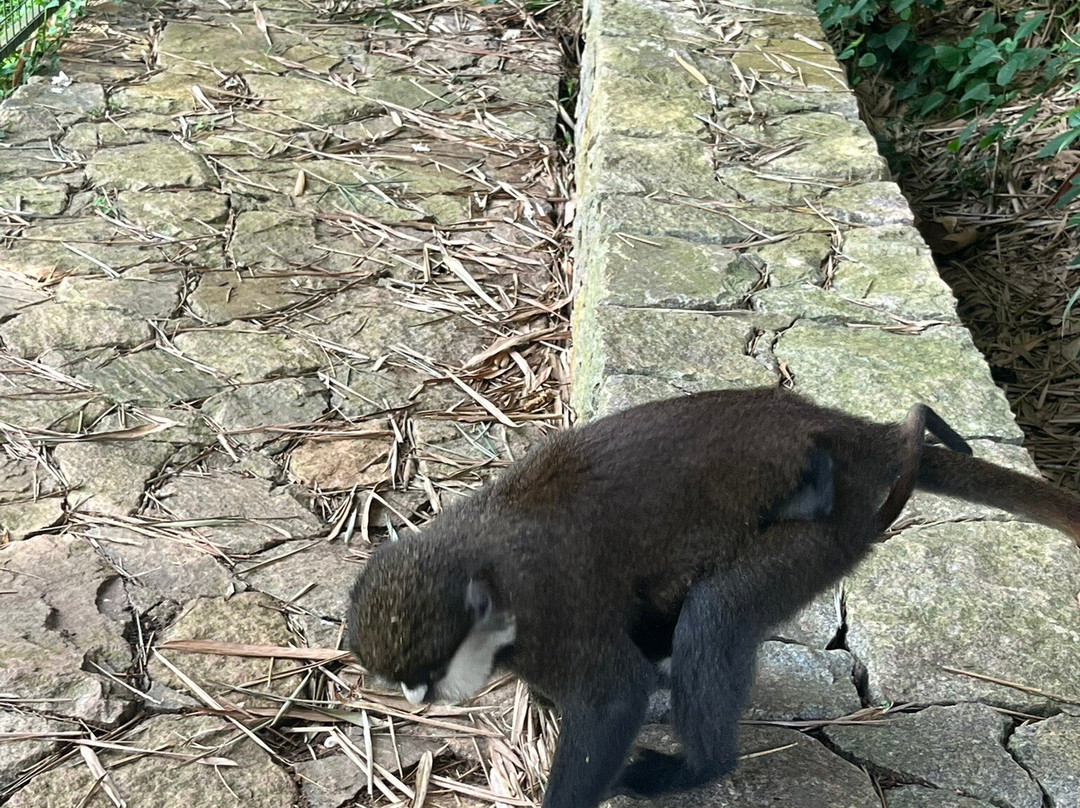 Uganda Wildlife Conservation Education Centre-恩德培必去景点