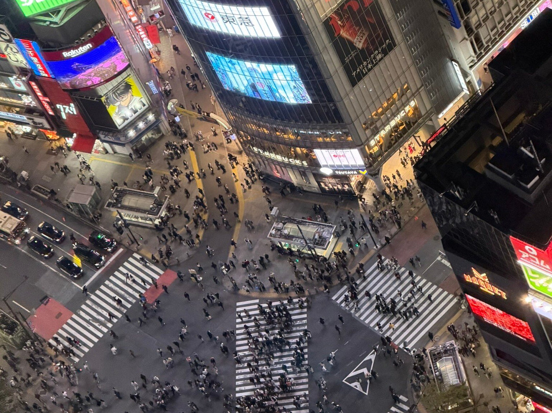 Shibuya Sky-涩谷区必去景点