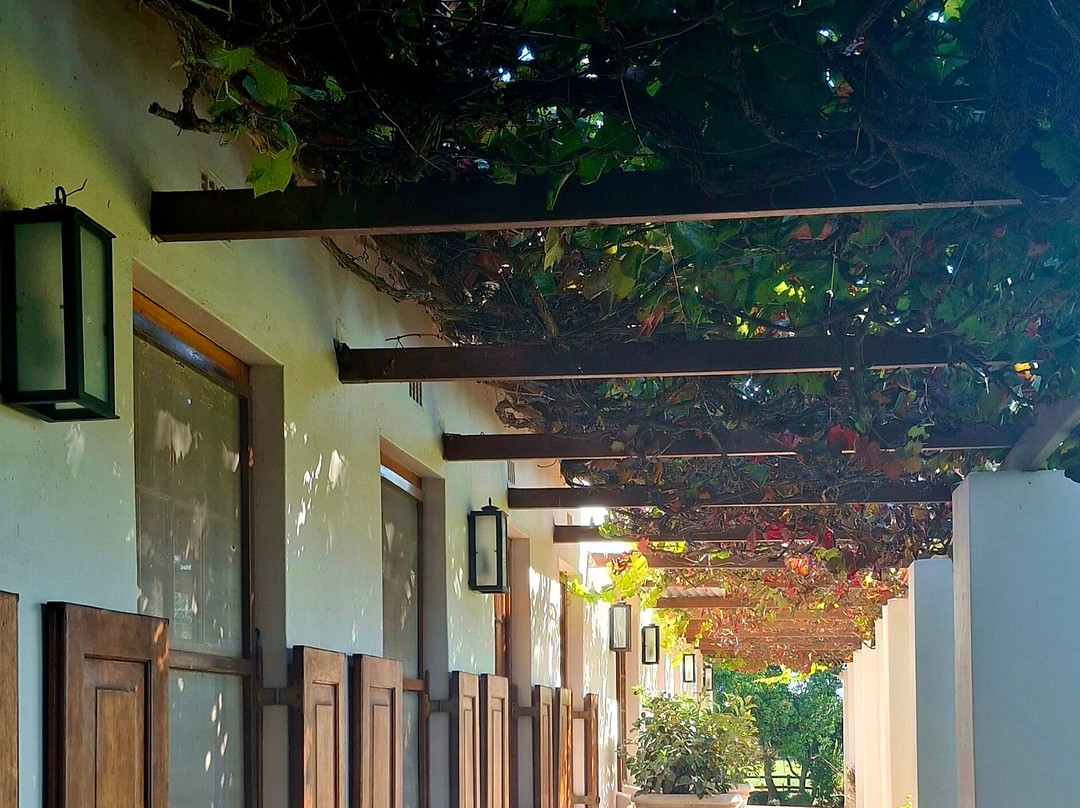 博索莱酒店主图