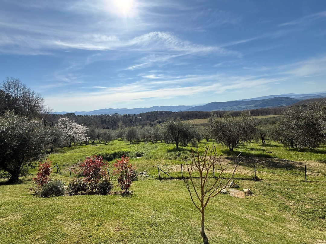 Tenuta Risalpiano主图