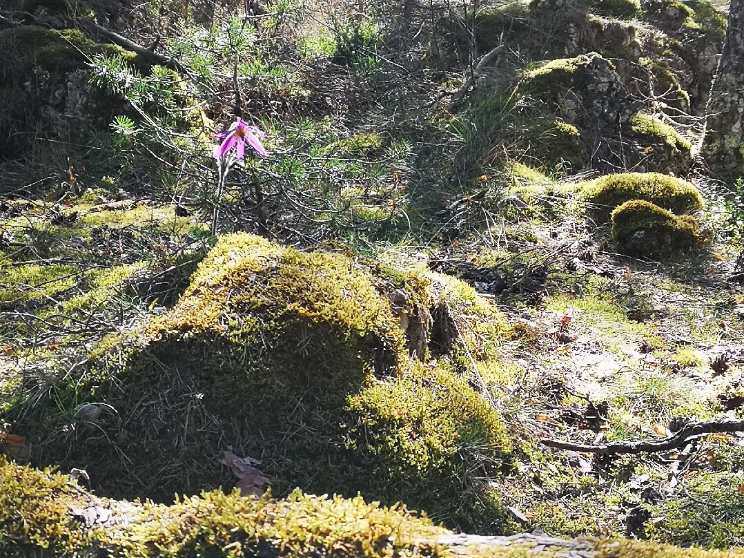 Les failles de Canalettes-Nant必去景点