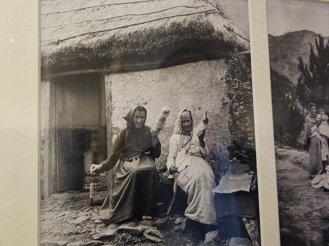 Museu de Fotografia da Madeira - Atelier Vicente's-沙尔必去景点