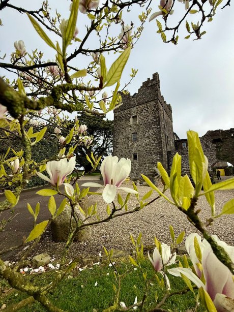 吉利安城堡乡间别墅农场酒店-官方