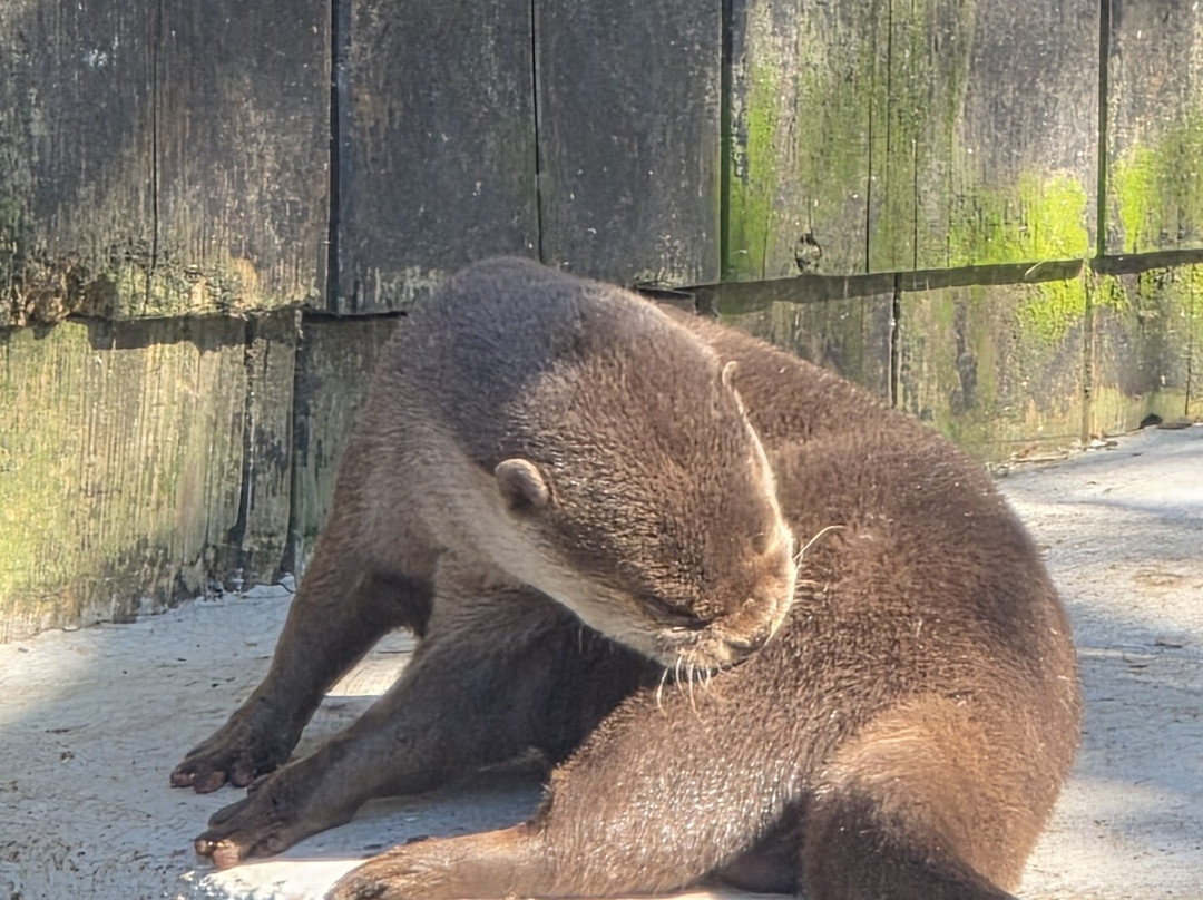 Sea Life Blankenberge-布朗肯堡必去景点