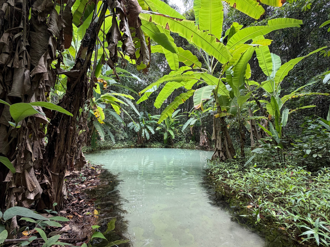 Cerrado Dourado Expedições-Jalapao State Park必去景点