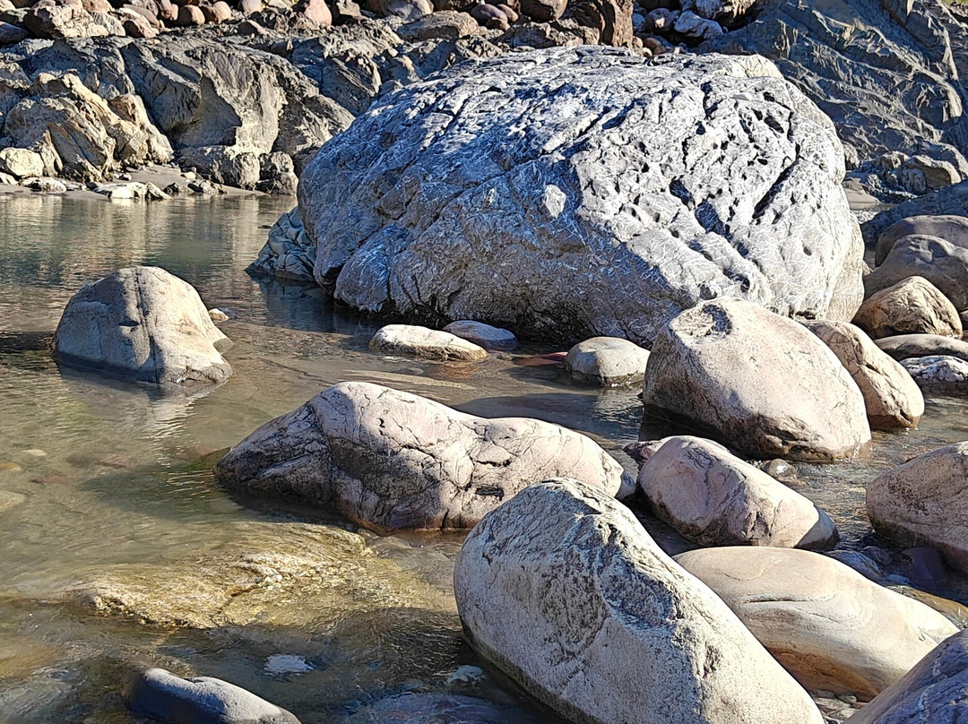 Maa Yoga Ashram-Tapovan必去景点