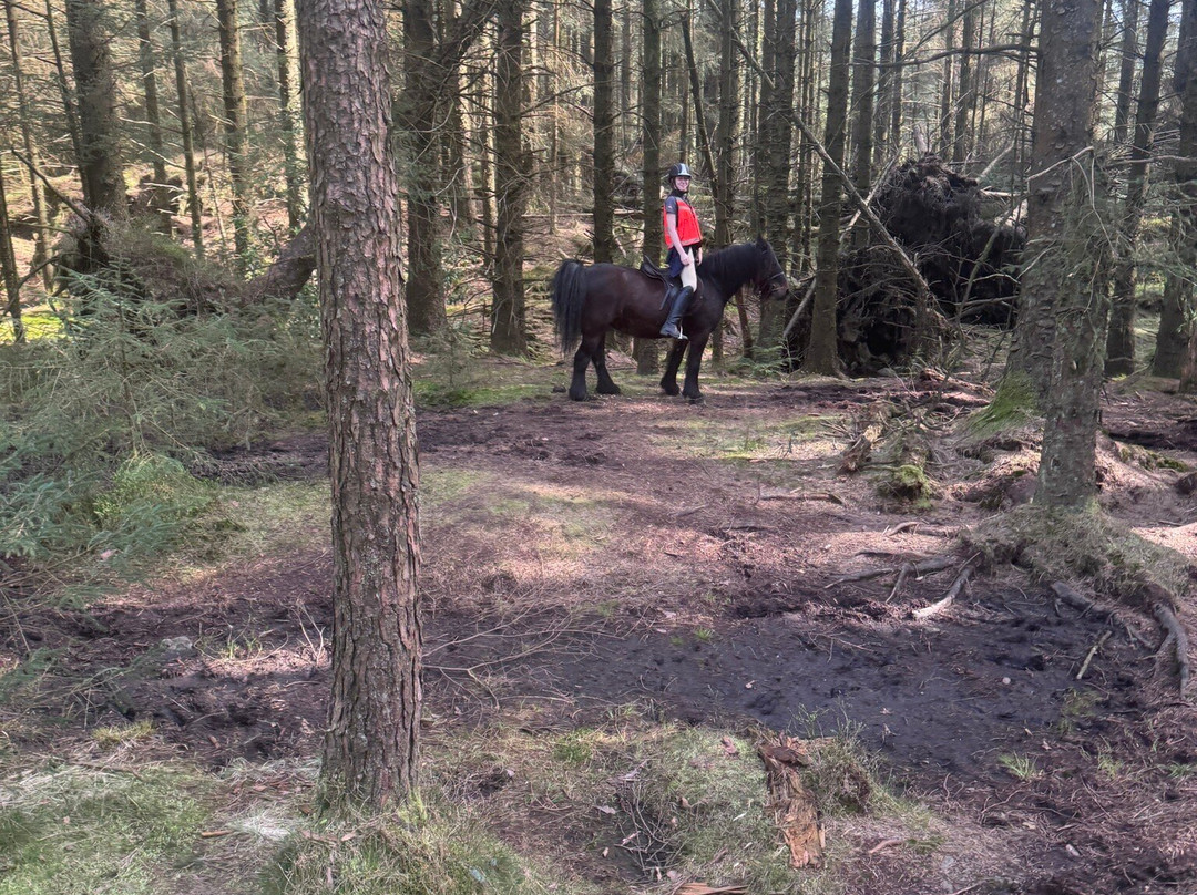 Fell Pony Adventures-温德米尔必去景点